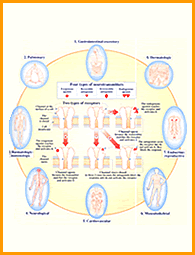 Chhand Physiology