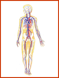 Charak Samhita Physiology