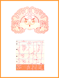 Atharva Veda Pratishakhya (Chaturadhyayi) Physiology