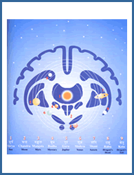 Jyotish Physiology