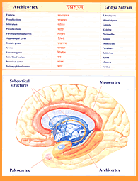 Kalpa Physiology