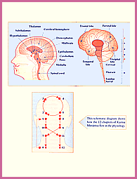 Karma Mimansa Physiology