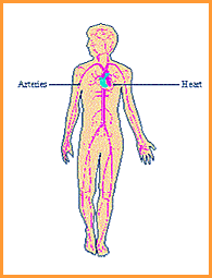 Kashyap Samhita Physiology