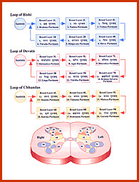 Puran Physiology