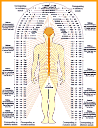 Rk Veda Physiology