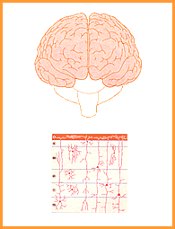 Rk Veda Pratishakhya Physiology