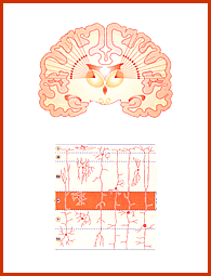 Sama Veda Pratishakhya Physiology