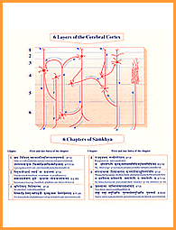 Samkhya Physiology