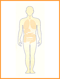 Sushruta Samhita Physiology