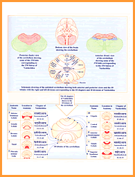 Vaisheshik Physiology