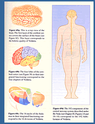 Vedant Physiology